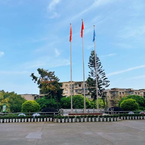 龙舟破浪乘风起，百舸争流扬远帆——小街子小学校第15周值周总结