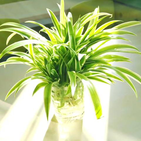 佳禾画室2025年春季招生