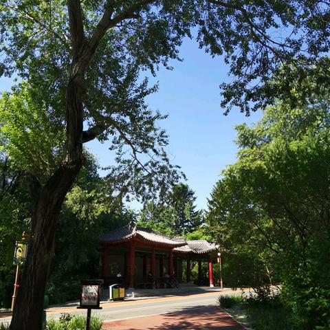 佳禾画室2025南湖写生作品展（一）