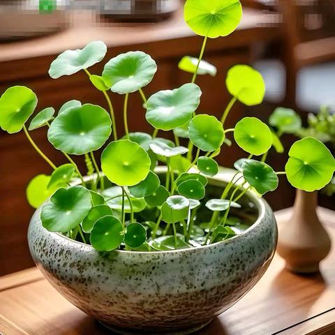 佳禾画室2025秋季招生