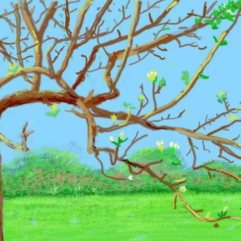 佳禾画室2026春季招生