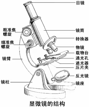 显微镜使用方法