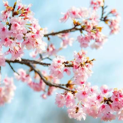 教学视导促发展，笃实践行谱新篇——盐池县教体局师资培训中心视导教研教学工作