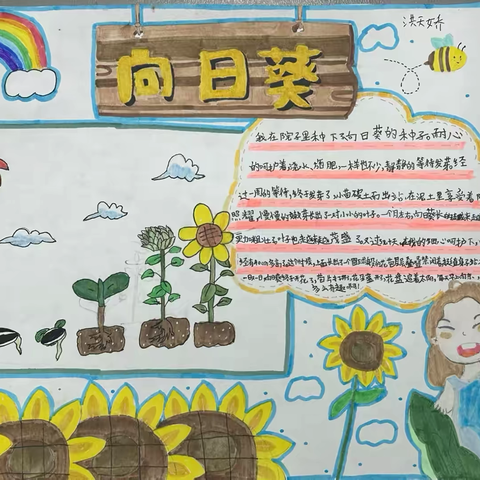 “以笔绘景，探寻万物微观之美”——文艺小学三四班个性化作业