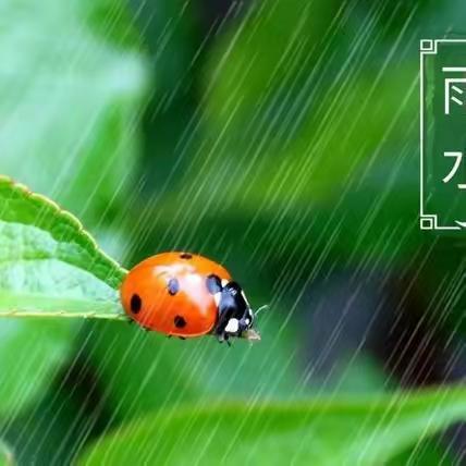 常路镇中心学校二年级——“雨水”节气主题活动