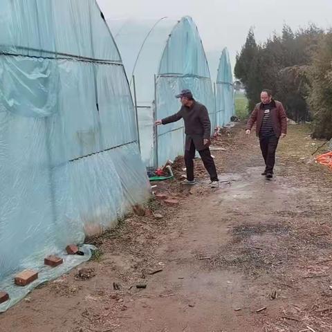 用户3616897的简篇