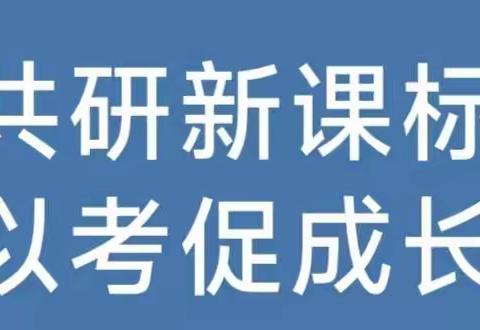 共研新课标，以考促成长 ——薛三小语文组开展“学课标 讲课标 考课标”活动