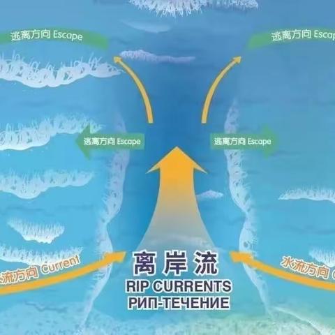 “警惕离岸流、远离危险水域”——海口市秀英区新海幼儿园安全宣传活动