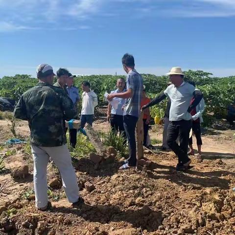 “四格”联动解“心结”——大田镇创新“四格”工作法 高效化解土地纠纷