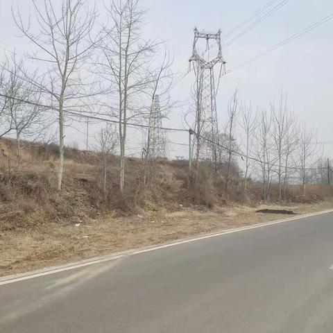 2025年3月10日环境卫生检查问题通报