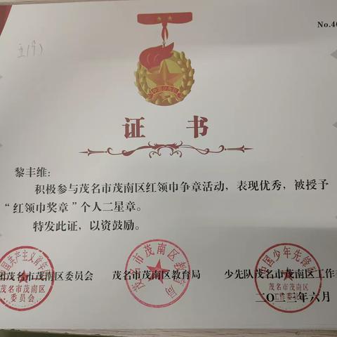 星光引我前行，章奖表我志向 ——茂南一小六（9）中队二星章表彰活动