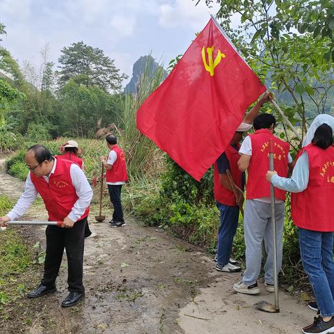 清廉护学，劳动助校——天等县宁干乡初级中学开展校园除草实践活动