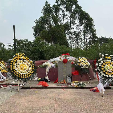 《祭扫烈士墓，缅怀革命情》国鼎幼儿园烈士陵园扫墓活动！