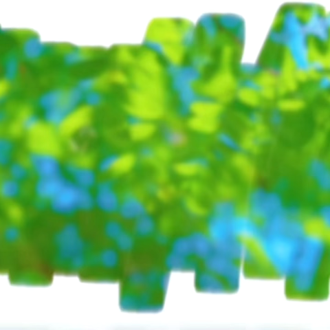 家校同行 劳动育美——沿山路小学劳动节家庭劳动分享会圆满落幕