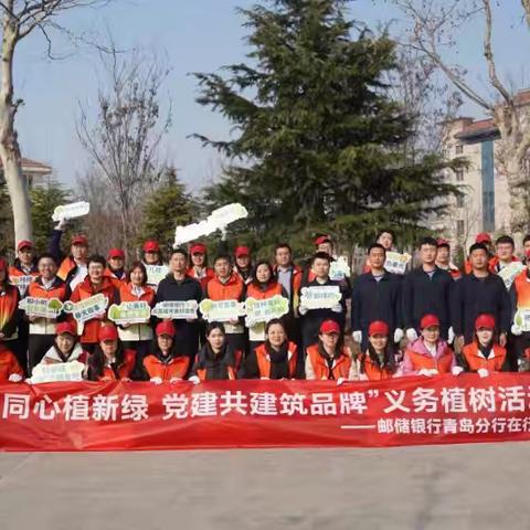 戎银同心植新绿 党建共建筑品牌 邮储银行青岛分行开展义务植树活动