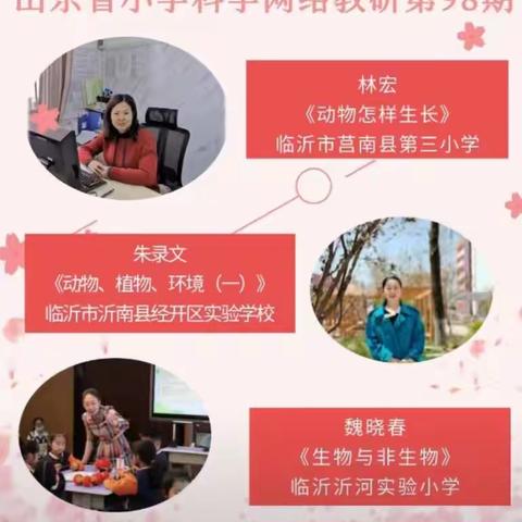 科学教研促成长——薛城区组织科学教师观看齐鲁科学大讲堂第98期活动纪实