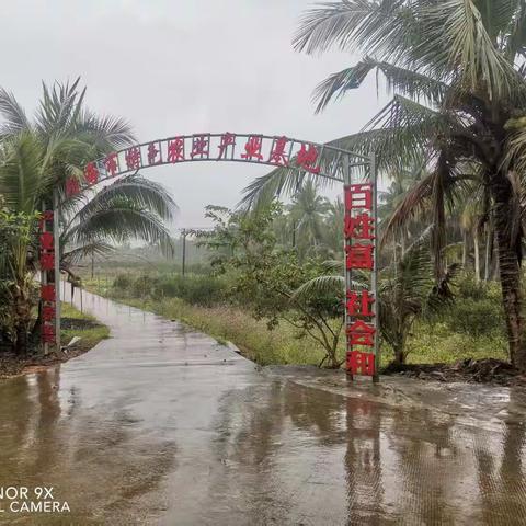 东英镇党委副书记谢淑荣带队赴琼海温泉发富油茶种植农民专业合作社参观学习，推动美鳌村乡村振兴新进程