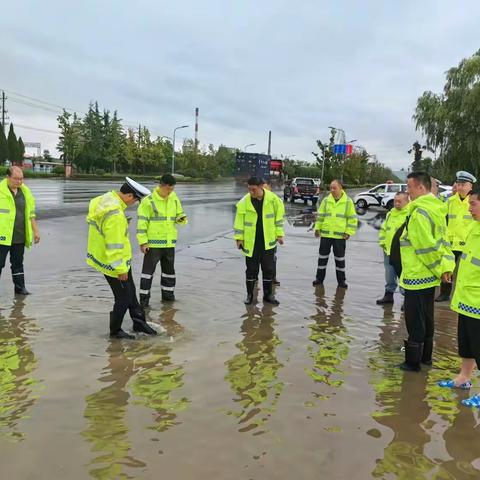 《城管局迅速响应暴雨黄色预警 全力保障市民生命安全》