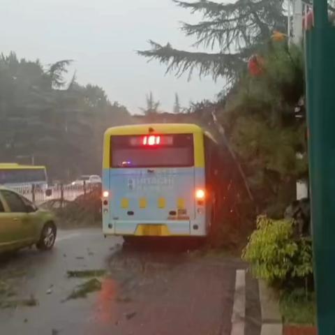 陕州区城管局：暴雨中的坚守与担当