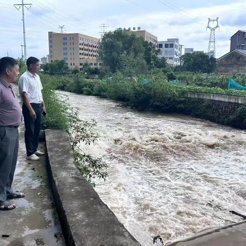 闻“汛”而动速响应，巡查排险筑防线