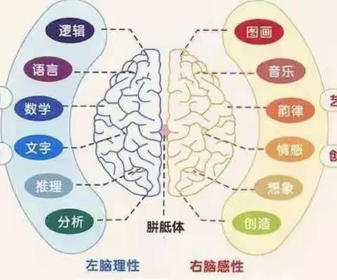 5个方法，给孩子一个“超强大脑”