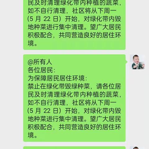 元宝山街道元宝山社区开展“整治毁绿种菜，维护社区环境”工作