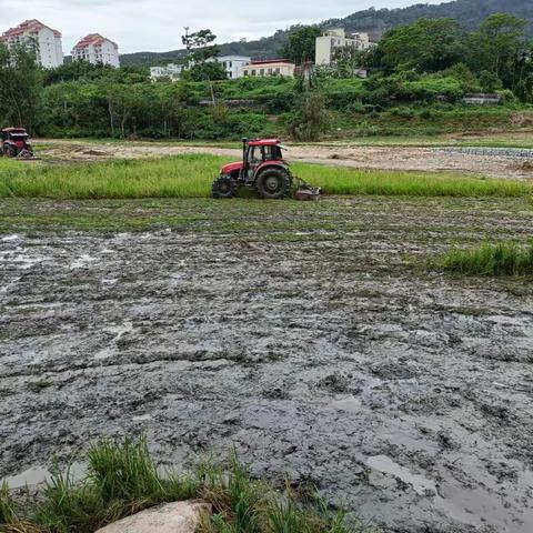 机械化与智能化并进，有序推进阜龙乡粮食安全生产工作