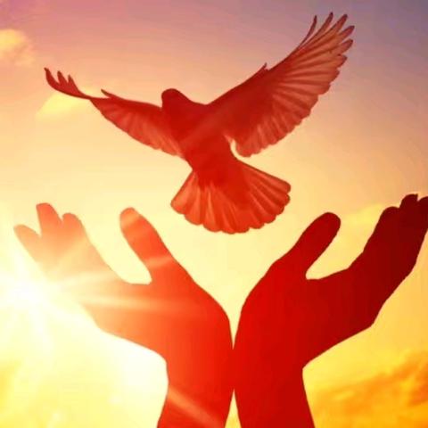 "思政引领，铸魂育人" — 2024年新密市思政建设优秀课例观摩活动在新密三高圆满举行