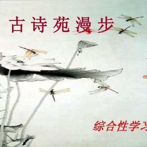 初二313班《古诗苑漫步》综合性活动剪影