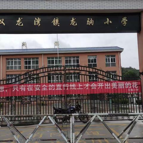 少年赴新季 韶华行且知—— 龙驹小学2023秋季开学典礼暨表彰大会