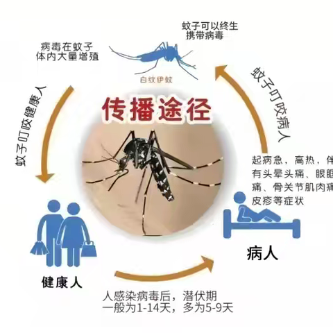 爱国卫生齐参与，共享健康新生活———海拉尔路小学爱国卫生月知识宣传