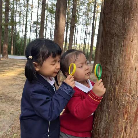 智中幼儿园快乐的一周