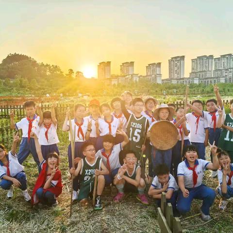 2106班第13周工作总结