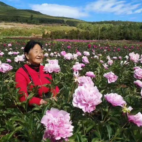 亲爱的奶奶 您永远活在我心中