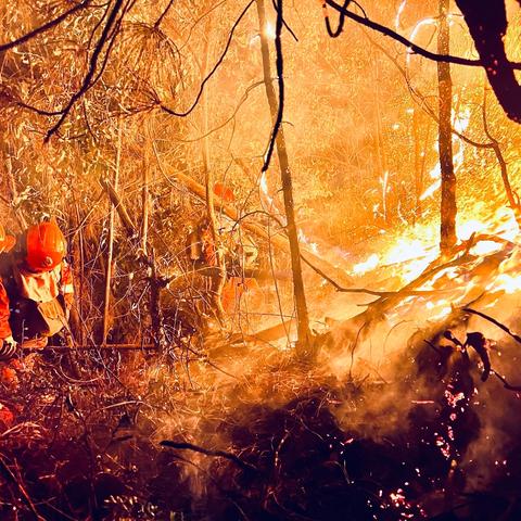 梦想——点亮灯塔