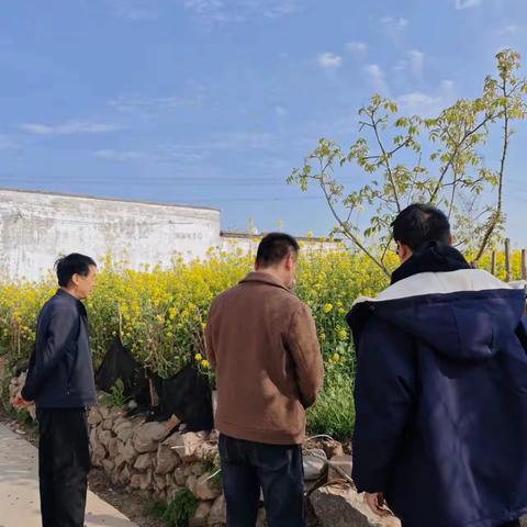 鹤壁经济技术开发区：龙岗街道东许洼村开展“禁种铲毒踏查罂粟活动”