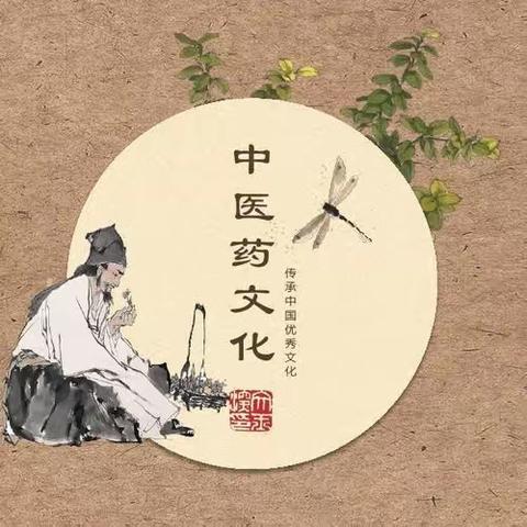 全环境立德树人——兰陵县第六小学中医药文化进校园活动