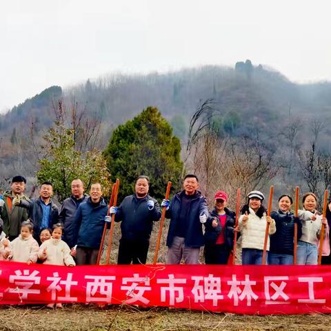 九三学社碑林区工委开展秦岭北麓植树活动 ，助力西安绿色生态屏障
