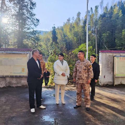 县委常委、武装部长胡金波深入太坪村调研并参加党支部组织生活