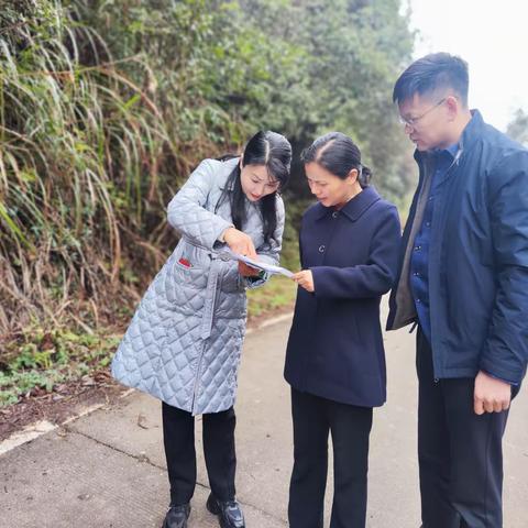 县委副书记、县长颜萍深入浔溪乡调研