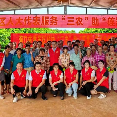 秀英区人大组织市区镇人大代表开展服务“三农”助莲雾振兴活动