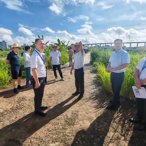 秀英区人大常委会对代表建议办理情况进行专题视察