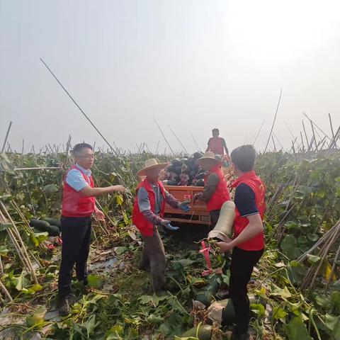 人大代表爱心认购助农纾困——秀英区开展服务“三农”专项行动