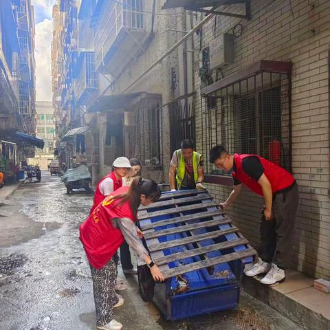 党员先行，贯彻做好爱国卫生行动