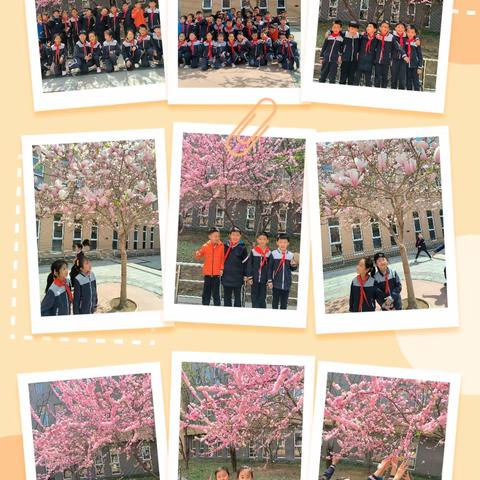 三月如期，你好春天