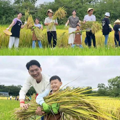 【9月21.22日】收割水稻、捉鱼大赛、儿童木工、亲子露营您来哦^_^