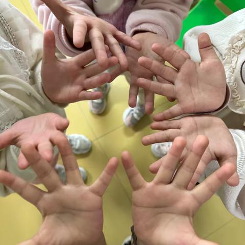 小手的秘密——启蒙幼儿园小二班班本故事