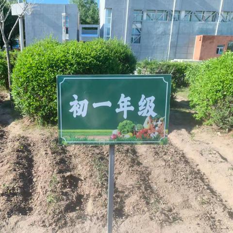 以劳育心  以耕润行——大庆市第四十六中学劳动实践基地种植活动纪实