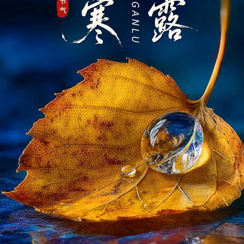 【24节气—寒露•食育课程】 袅袅凉风动，寒露秋更浓