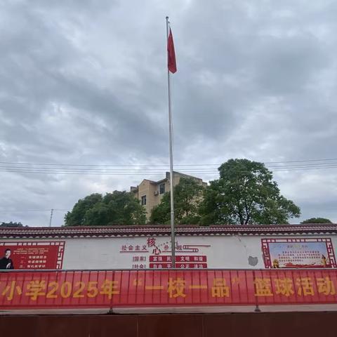 纵情驰骋展活力，迎“篮”而上扬风采——桐木镇湖塘小学“一校一品”篮球活动展示赛